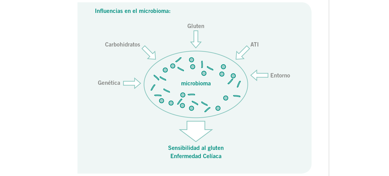 Dr. Schär Institute Influencias en el microbioma Intolerancia al gluten